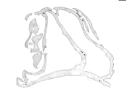 Logo de Mercedes Sosa